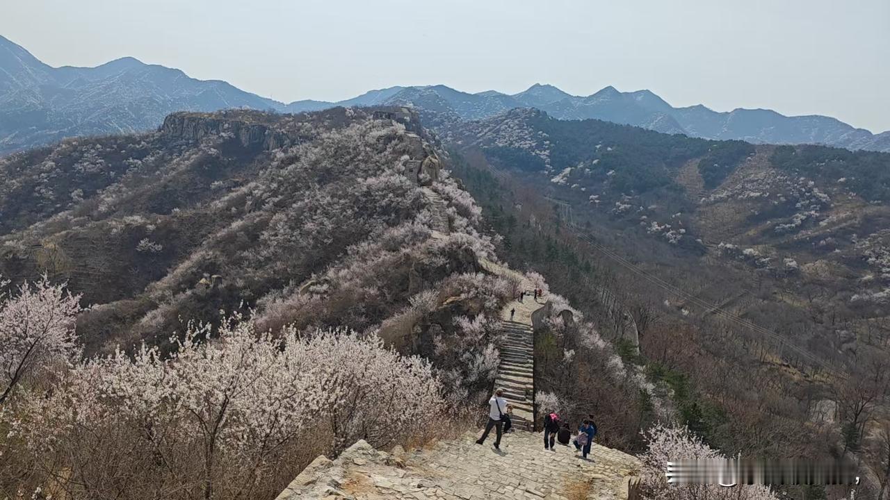 现在这个时代真的太安全了
现在这社会真的很安全，是从前的那个年代没办法比的，谁能