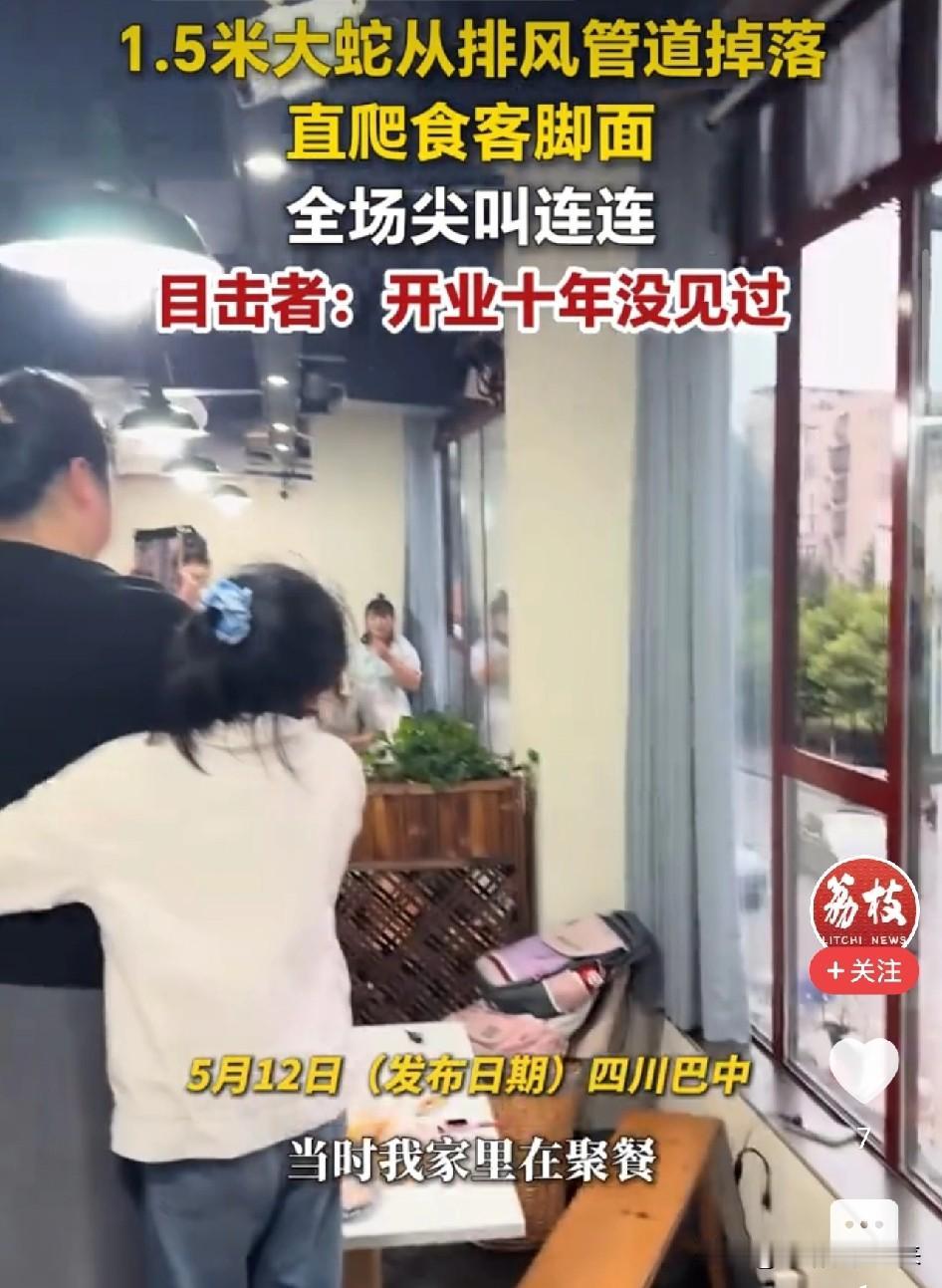 吃火锅吃到一半，1.5米大蛇从天而降，直扑食客脚面，火锅店瞬间炸锅

这不是恐怖