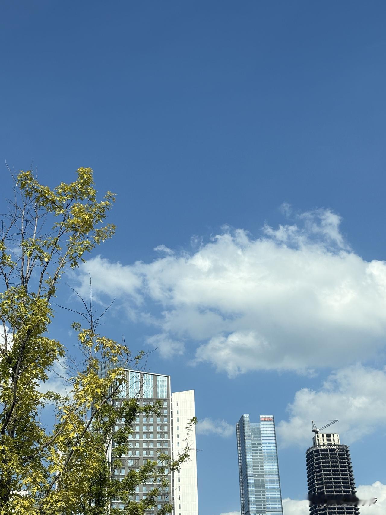 晒图笔记大赛天空如洗，白云悠扬，是大自然最纯粹的馈赠。