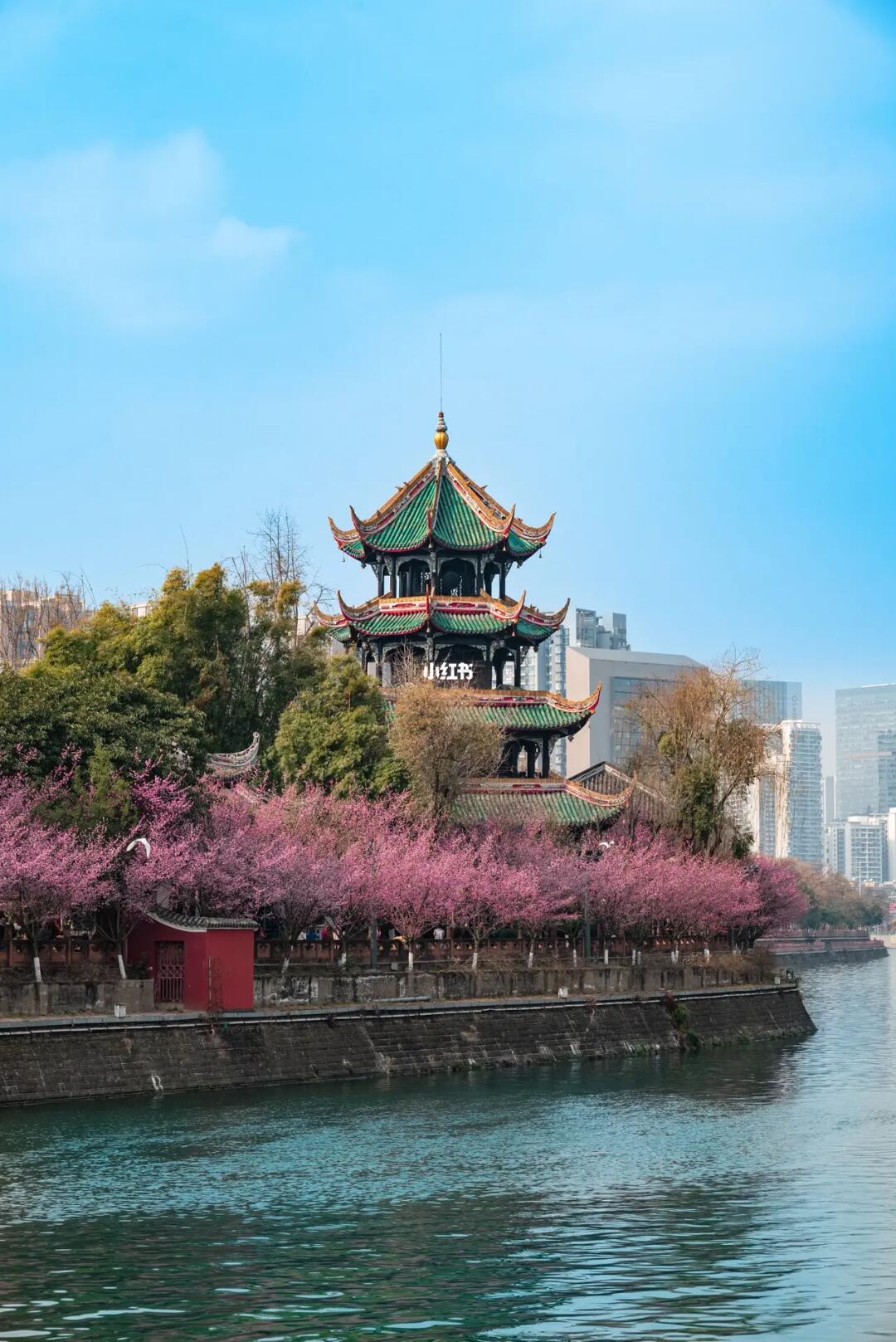 请永远相信望江楼公园的春天！美惨了！