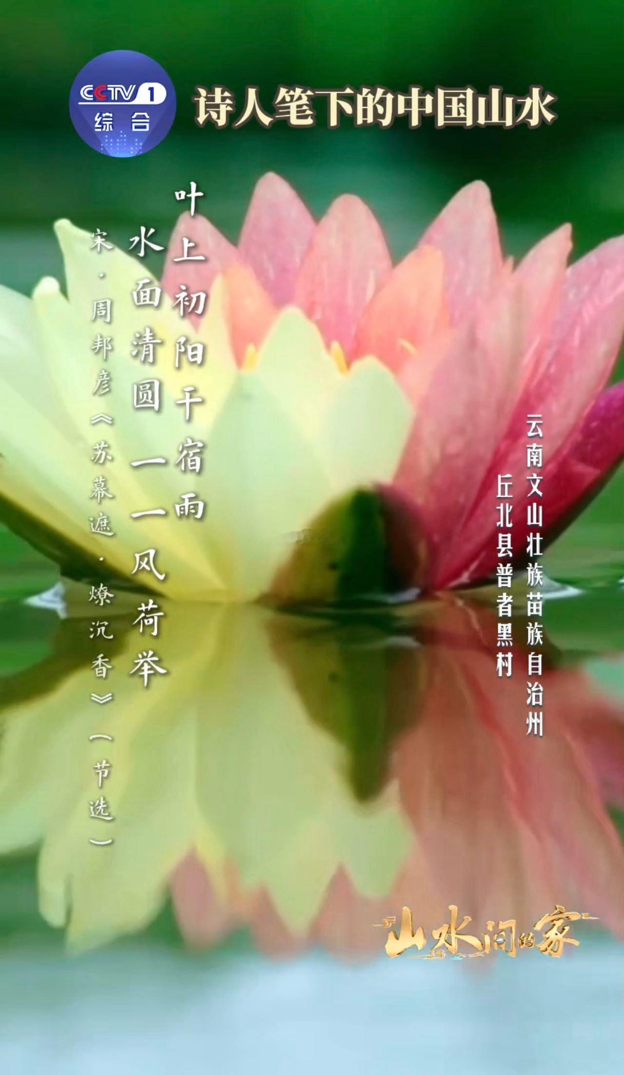 面对中国山水古人全是诗张力中国人用几千年给山水写诗 一草一木皆入诗，一丘一壑皆含