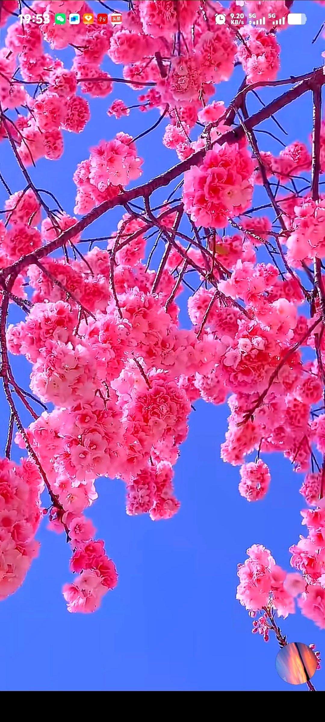 上个月，儿子单膝跪地求婚，那个谈了七八年的女孩哭着点头，戴上了戒指。
我激动得一