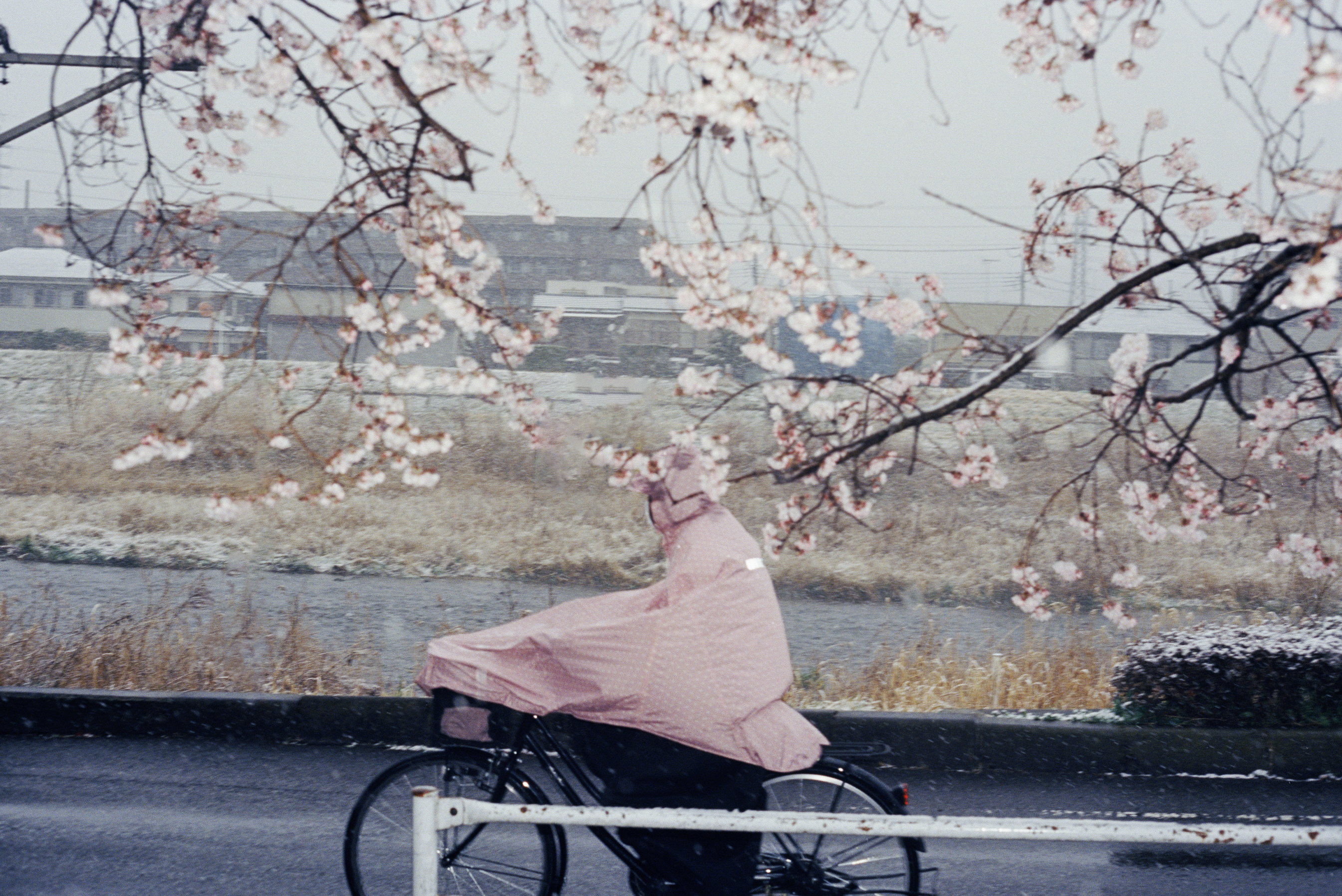 风的形状… ​​​