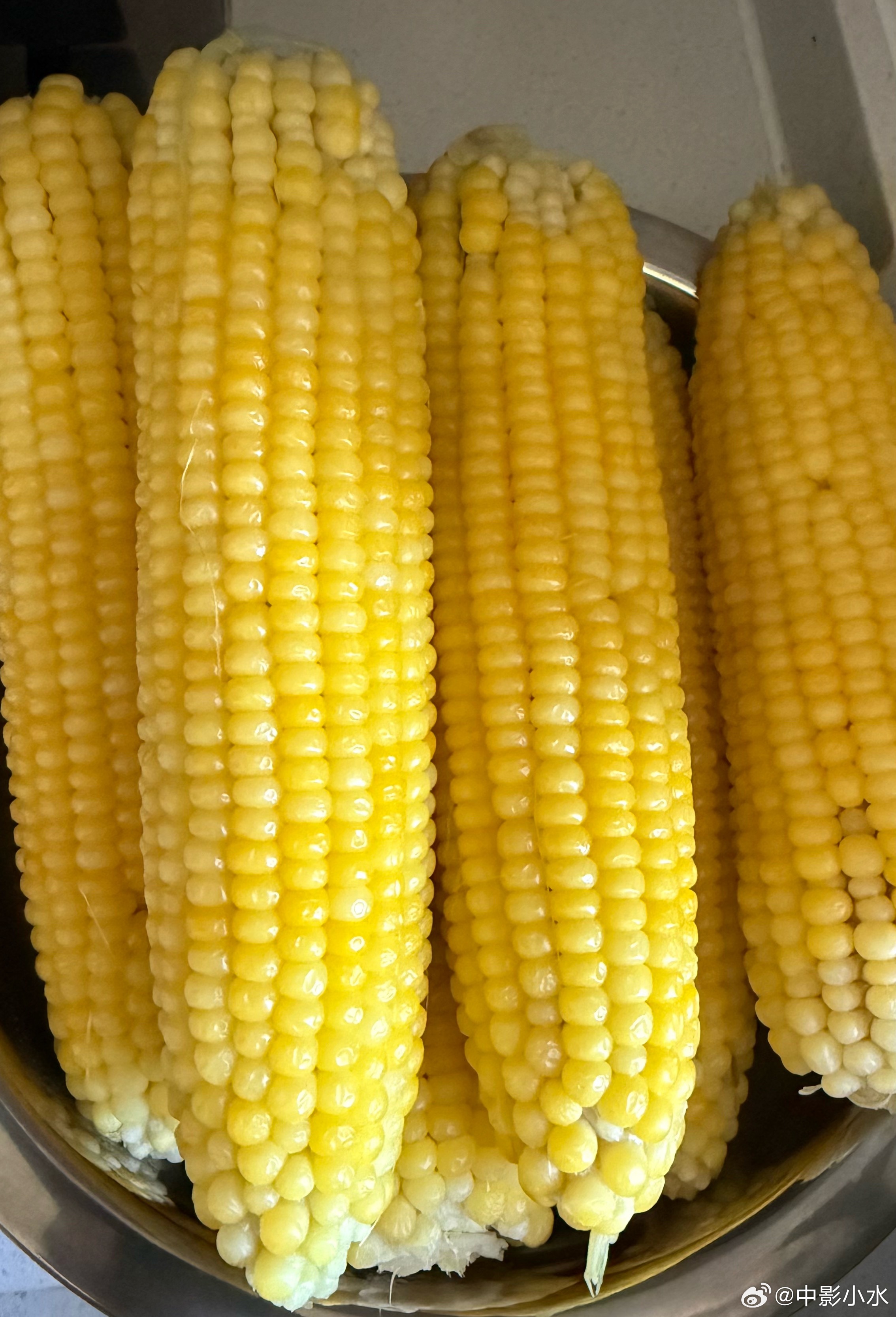 每天早起打卡 早，吃🌽 ​​​