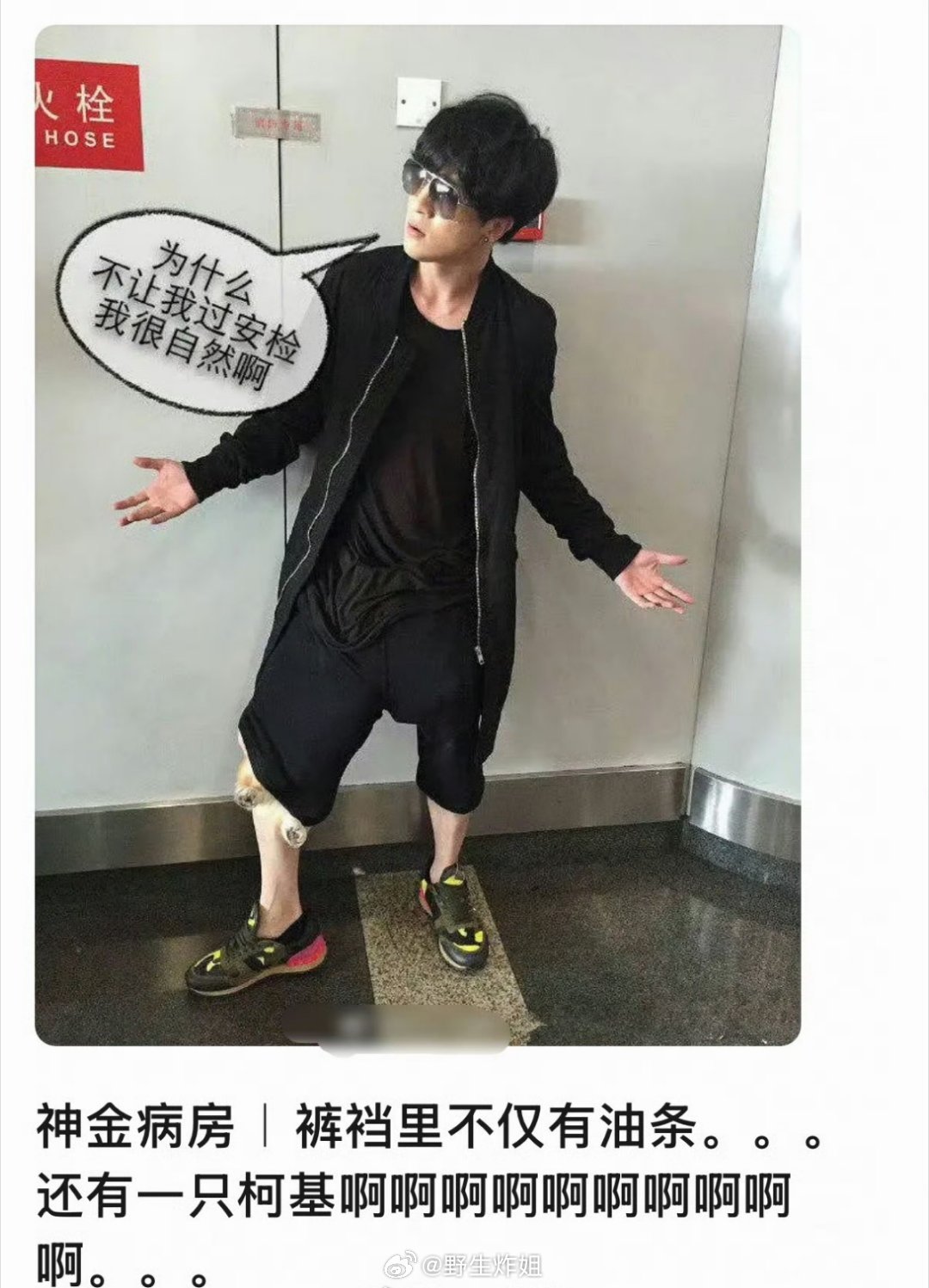 emmm考古到了薛之谦之前带着柯基过安检，把柯基塞裤子里面了，这个还当玩笑分享出