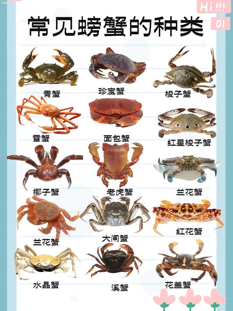 世界上有4700种螃蟹，你认识几种？
       世界上螃蟹的种类还挺多。据资