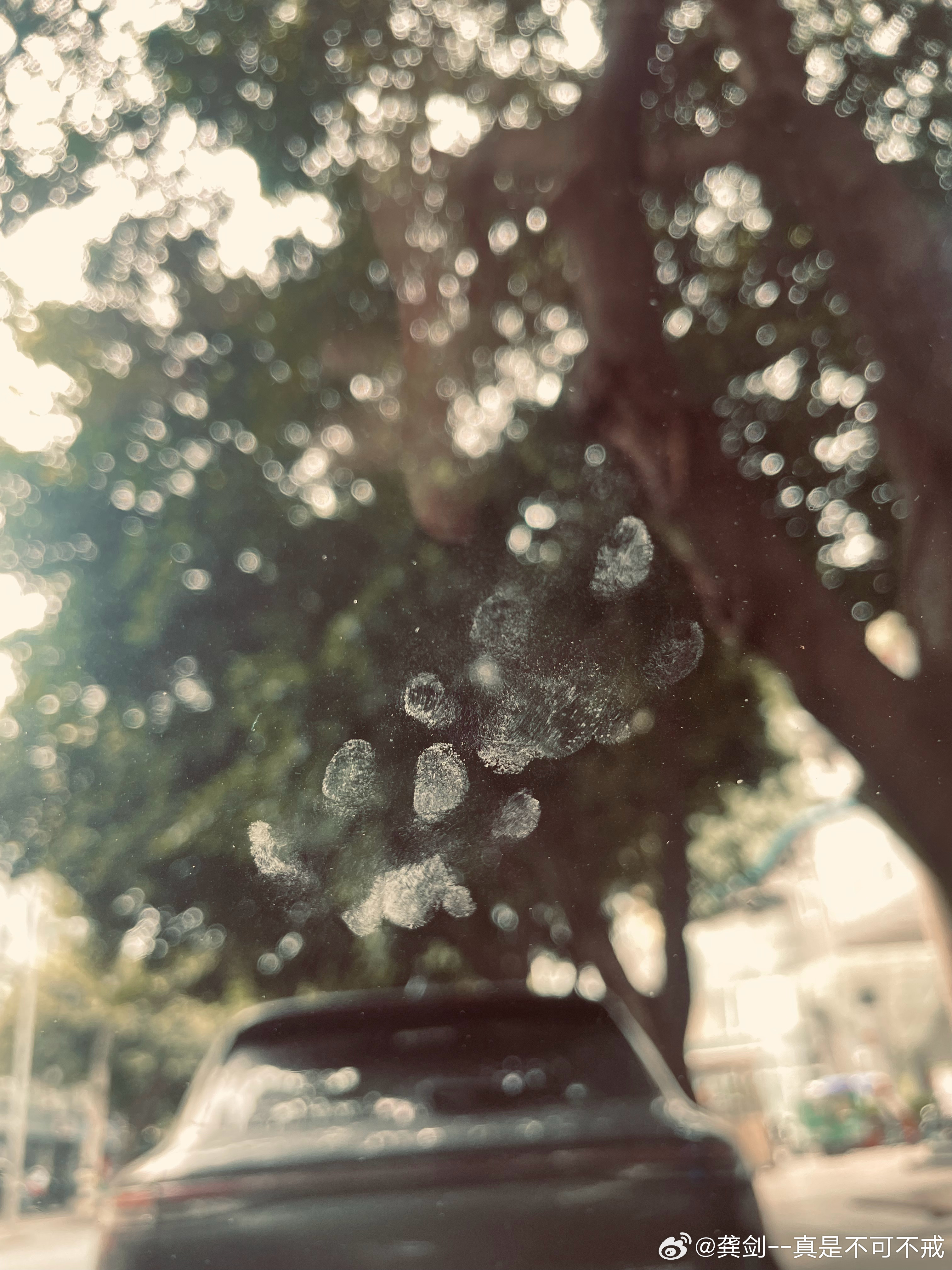 也是缘分