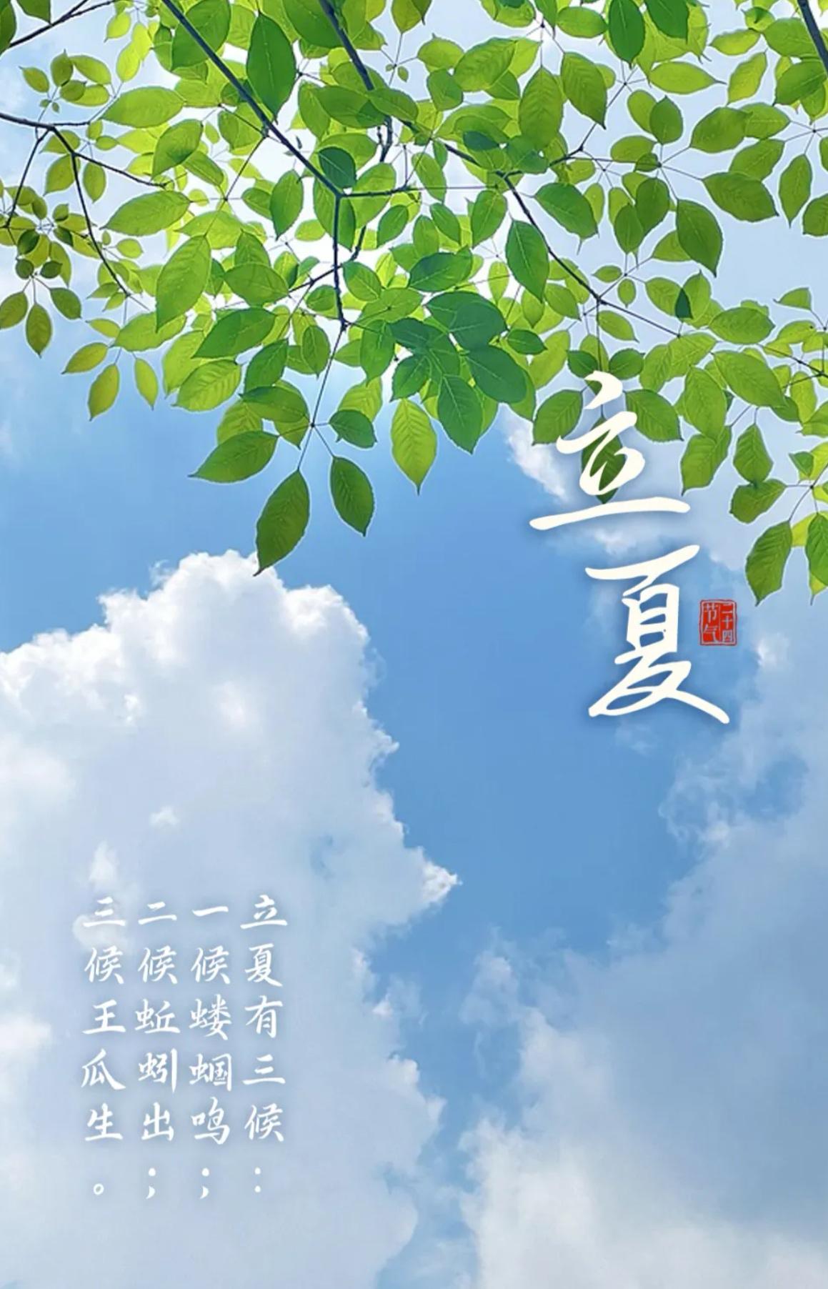 今日立夏 | 风暖人间草木香，一封来自夏天的情书请查收🌸

亲爱的朋友们，早安