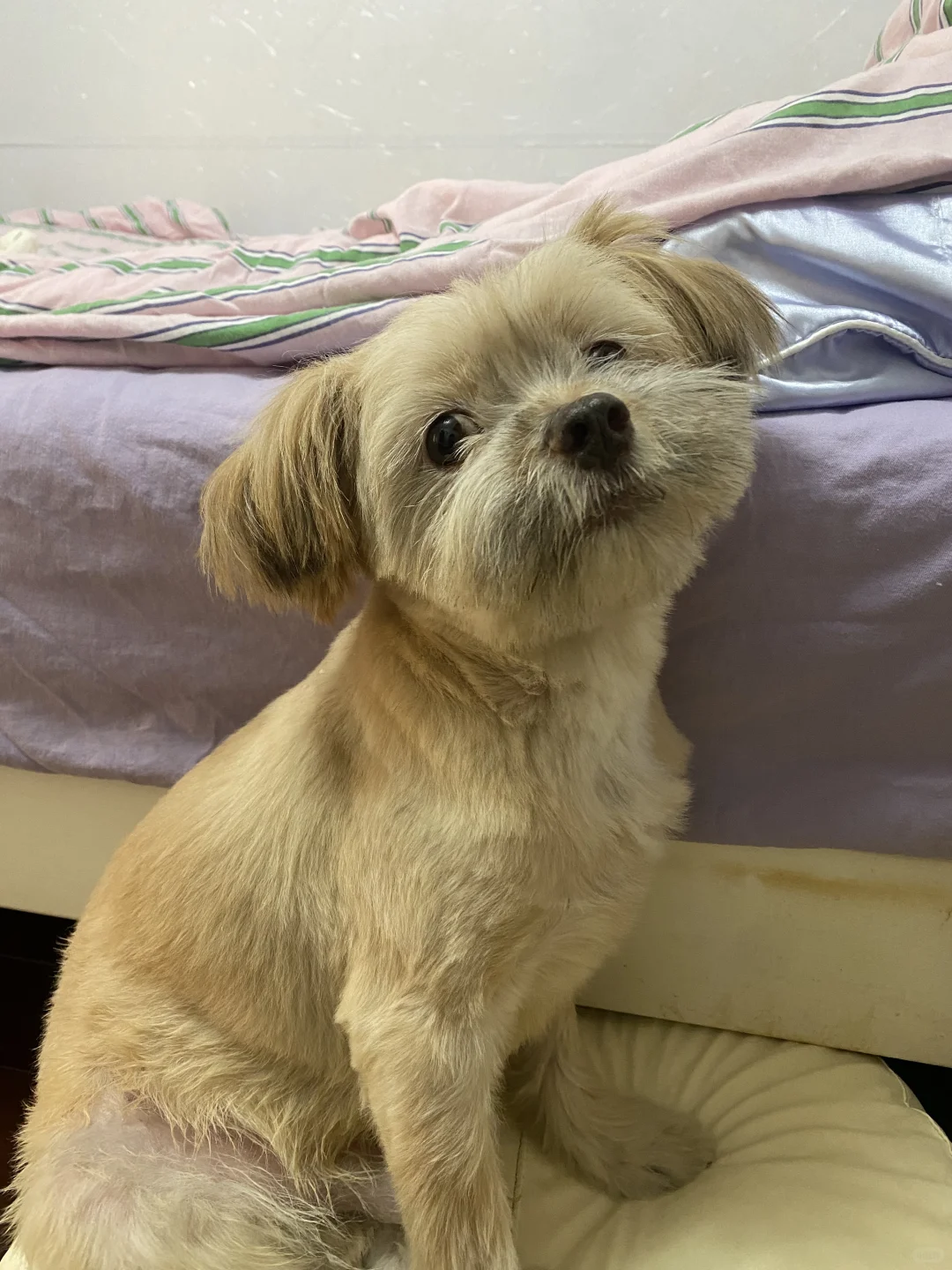 拖地挤到垫子上生胖气