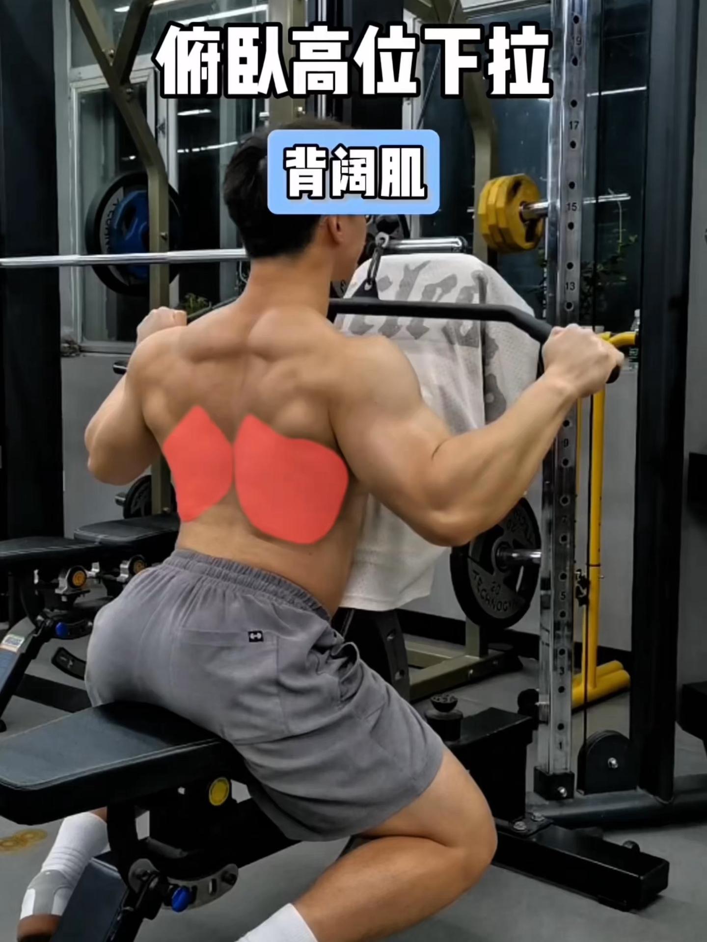 俯卧高位下拉，保姆级教程！ 一、目标肌群 俯卧高位下拉，背阔肌 二、练...