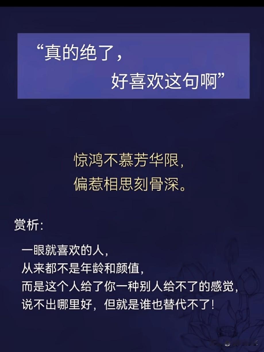 惊艳的语句，一见钟情的感觉！