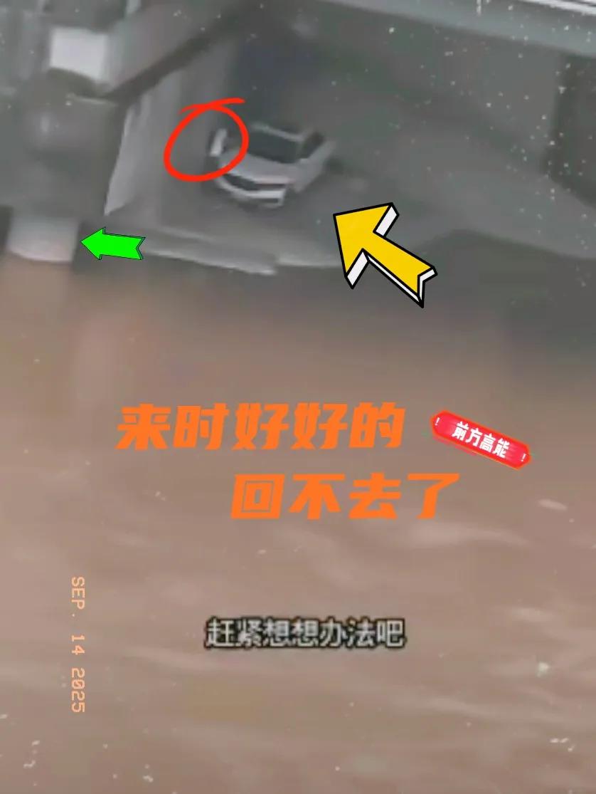 约会真会选地方，这下回不去啦
刷到个视频，一对情侣约会想避人耳目，特意把车倒到桥