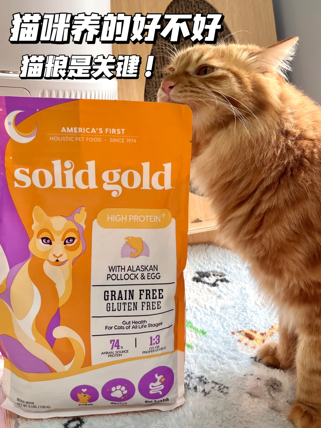 美毛天选粮 我替你们找到了