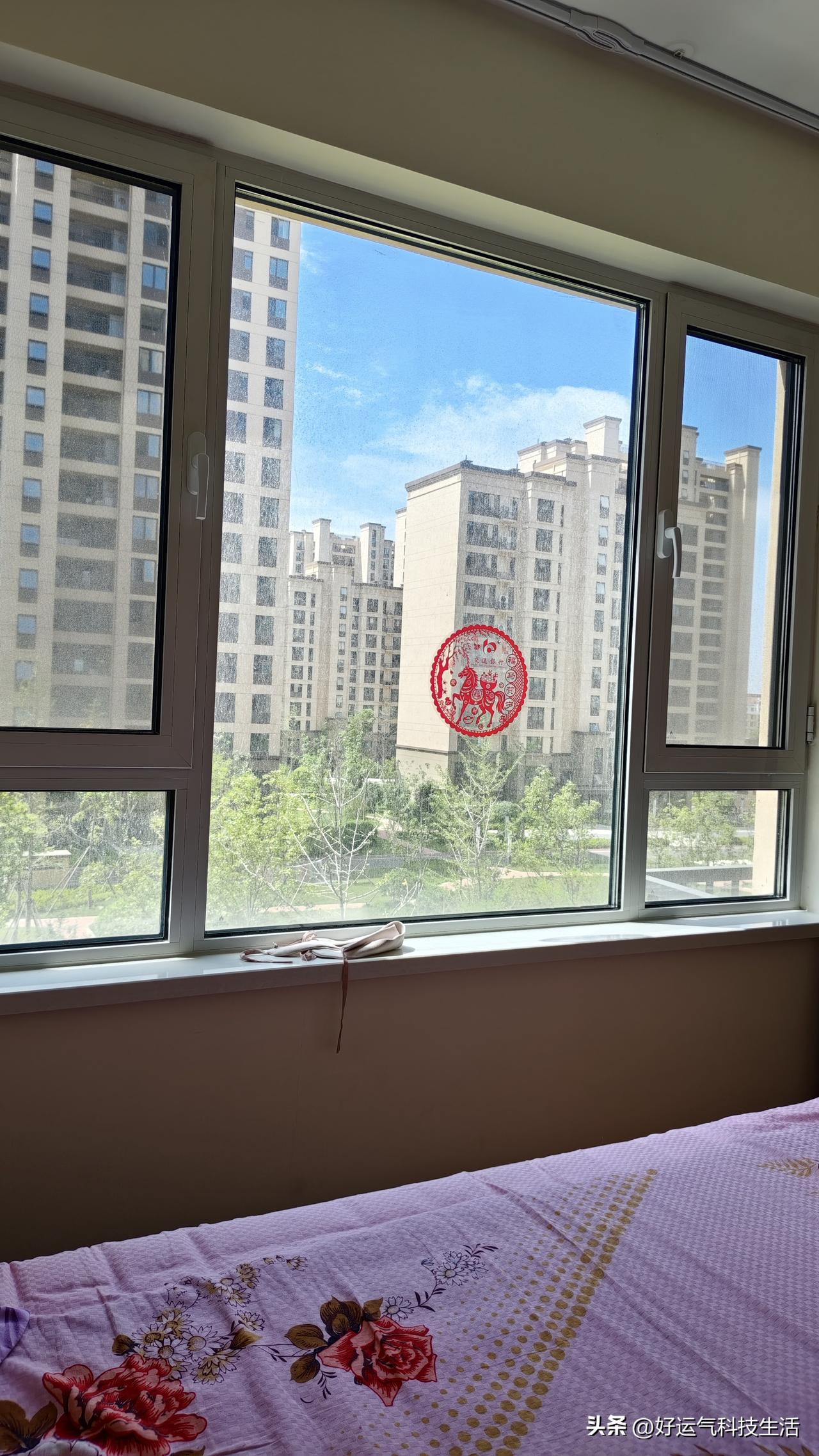 今日青岛阳光明媚，天空透亮，空气也十分清爽，放眼望去景色怡人。

可千万别被好天