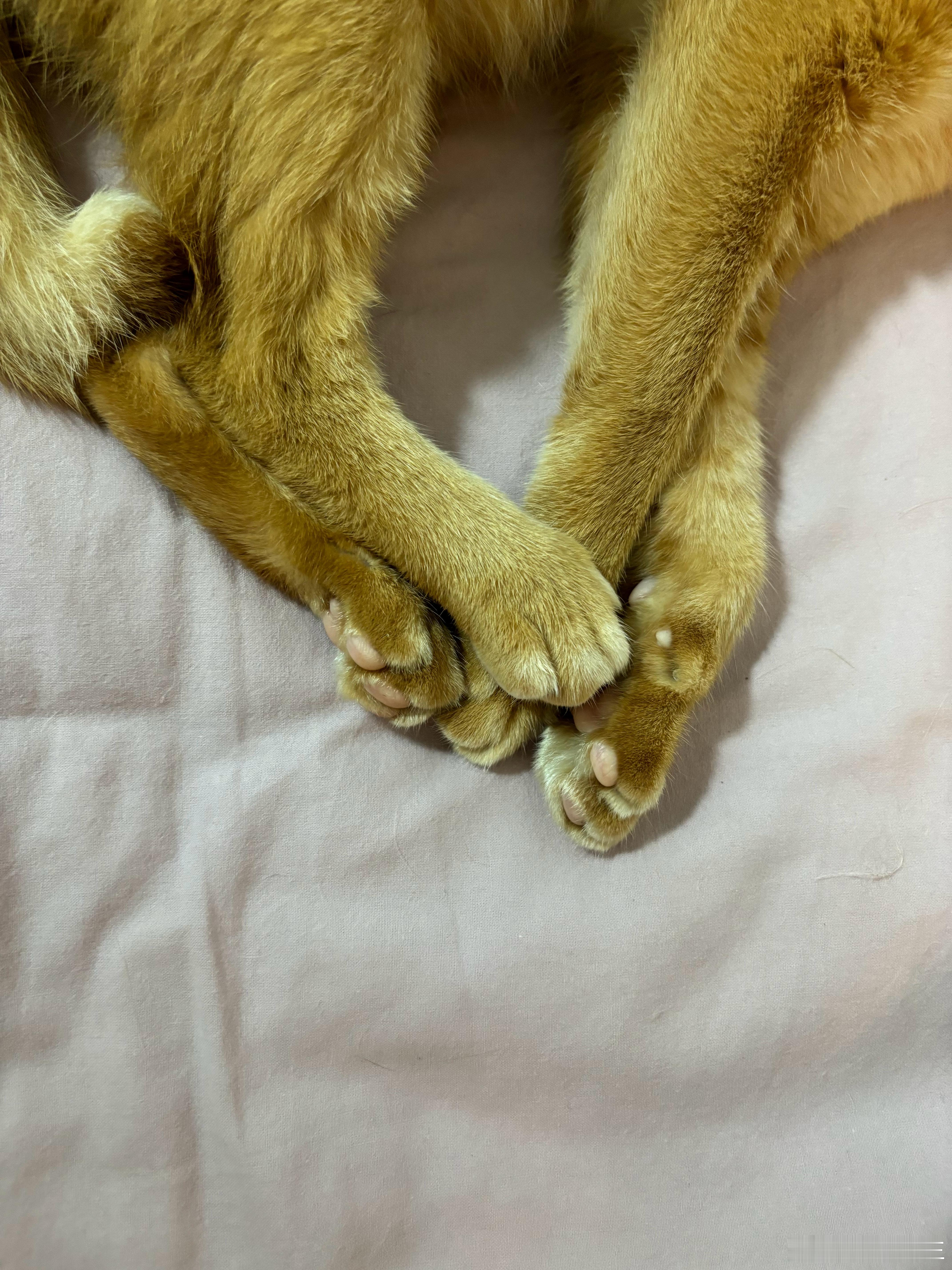 烂生姜