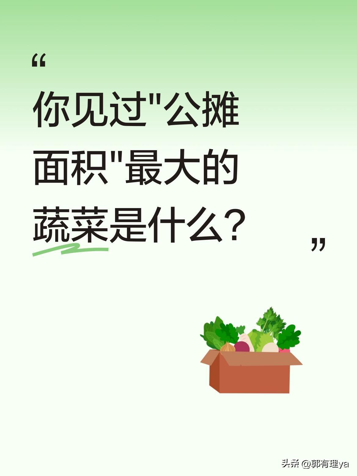 你见过"公摊面积"最大的蔬菜是什么？
有种蔬菜堪称植物界的"公摊大王"，剥掉里三