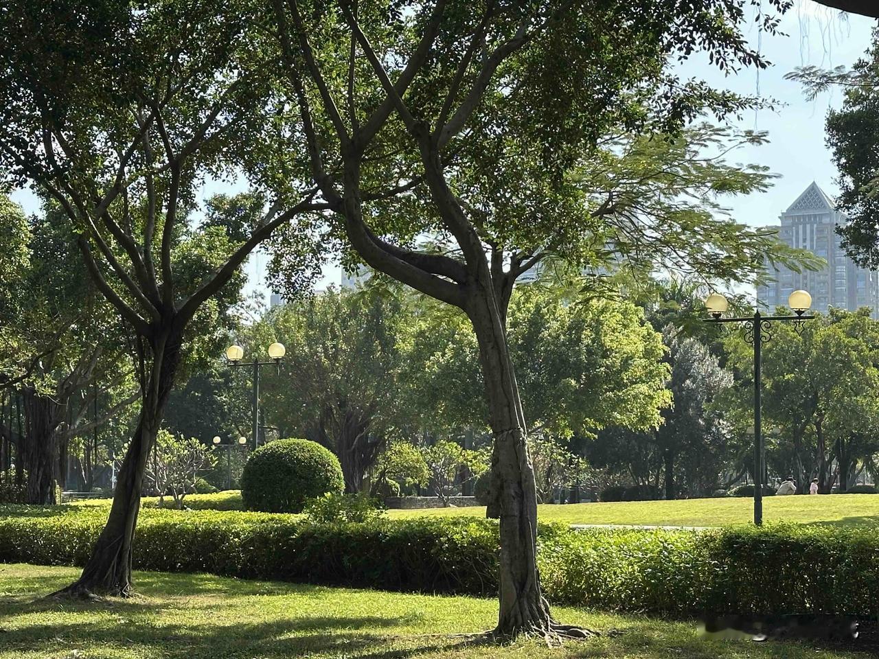 分享一张最近随手拍的照片
