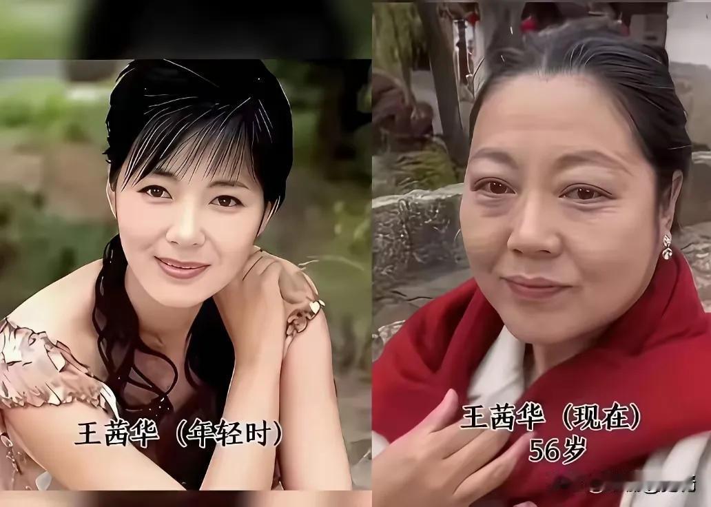 年轻的时候王茜华清秀迷人，端庄温婉
年轻的时候陈红清秀迷人，端庄温婉
年轻的时候