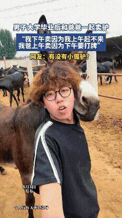 笑不活了！河北一对父子的卖驴日常火遍全网，奇葩分工让人忍俊不禁，背后的温情和通透