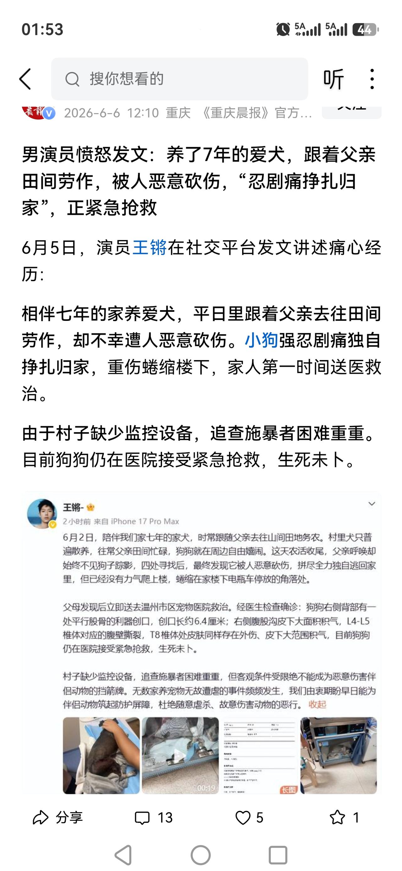 和平繁荣昌盛年代.狗命贵🙏