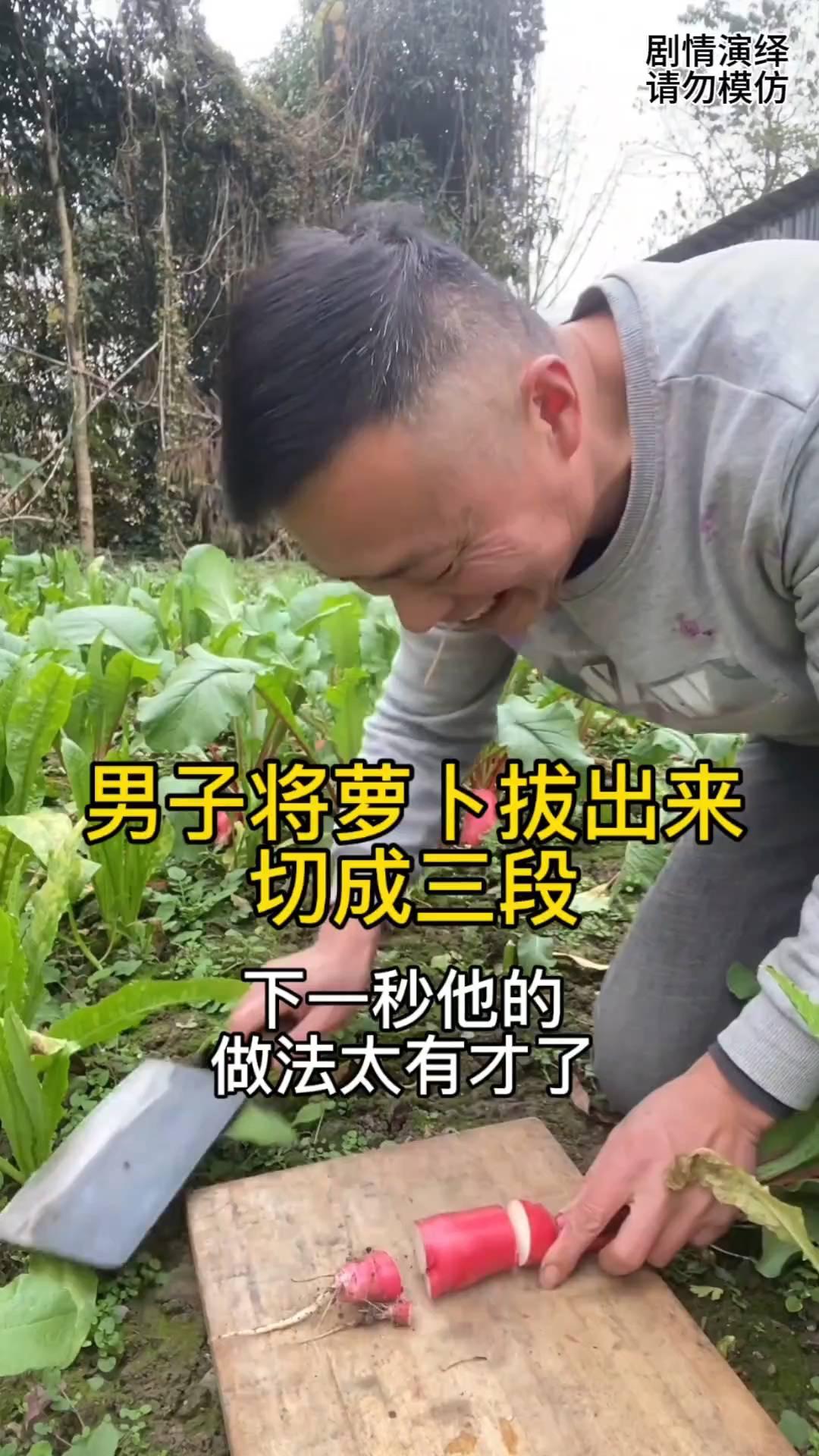 男子将萝卜拔出来切成三段，下一秒他的做法太有才了。
男子来到菜园要拔萝卜，他觉得