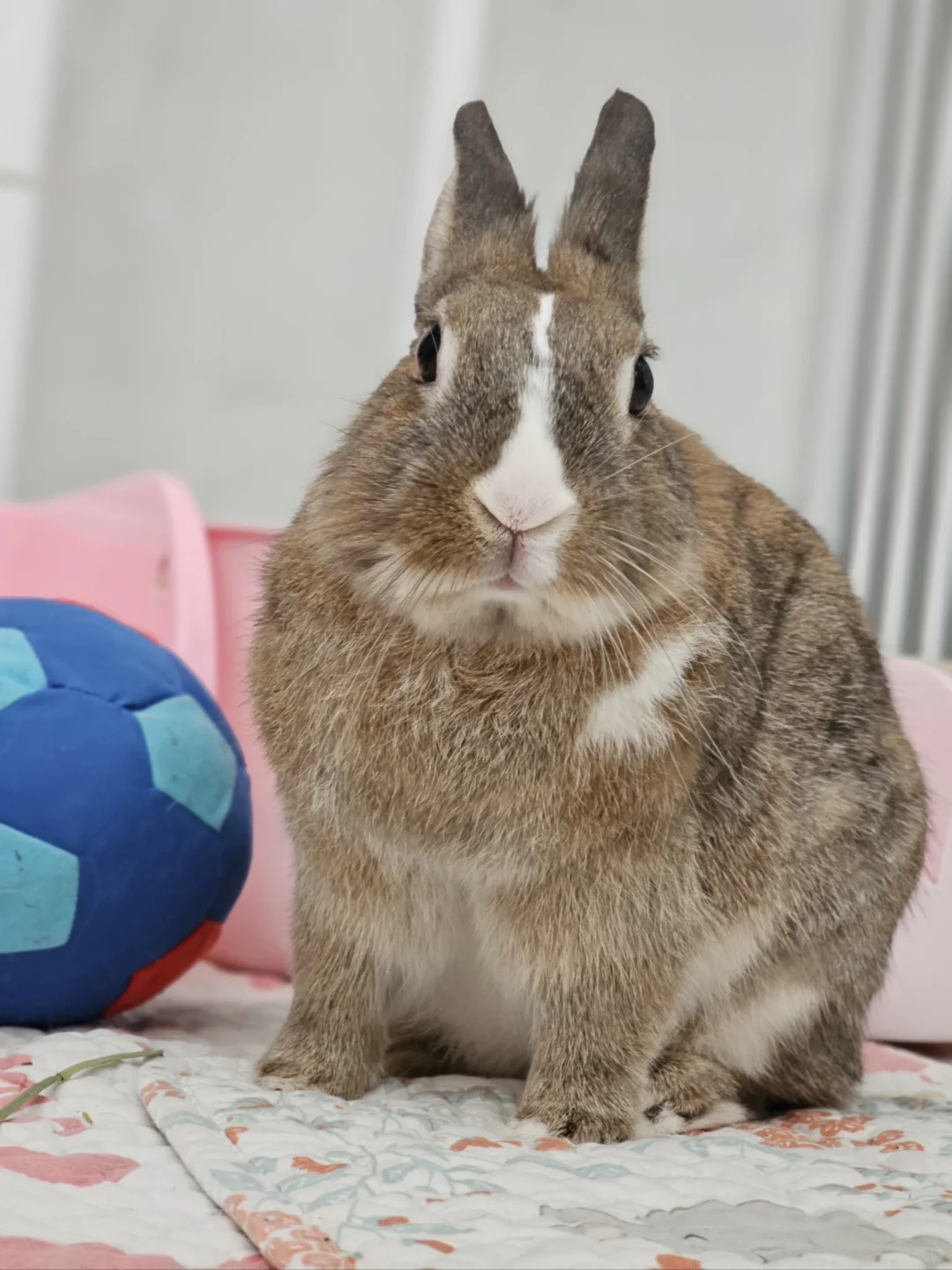 让我们恭喜这个小宝贝五岁啦！