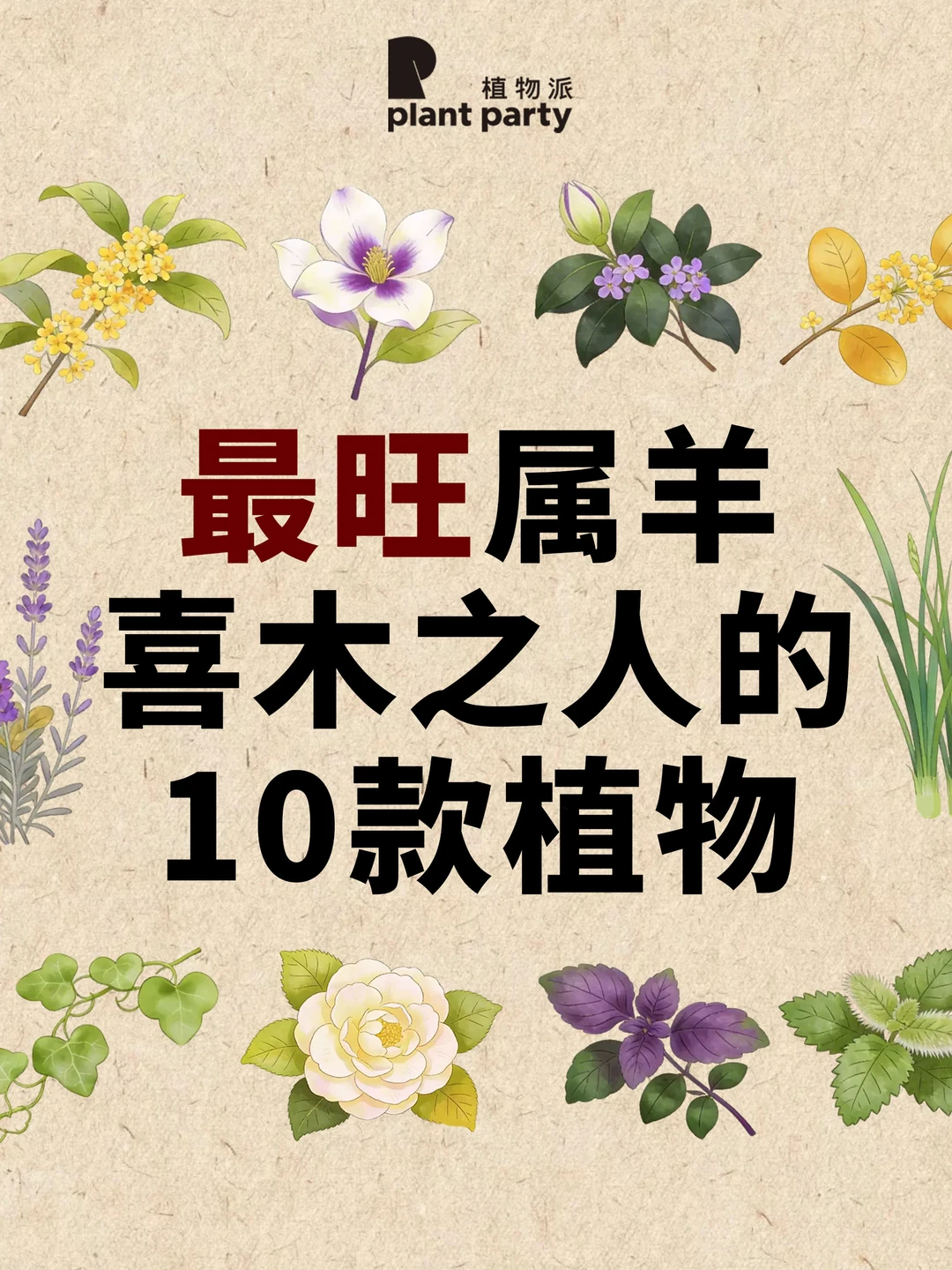 生肖×五行｜最旺属羊喜木之人的香气