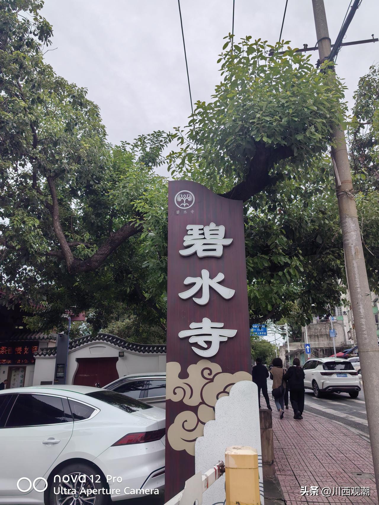涪江的暮云，真是年年都一个样子，淡淡的糊在天上，不重、不烈，温温地盖着整座绵州城