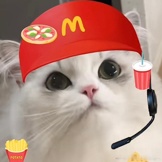 不丢我们小丢是麦当劳小猫😺 
