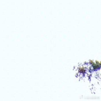 活着不仅需要氧气，更需要勇气，还得霸气！ ​​​