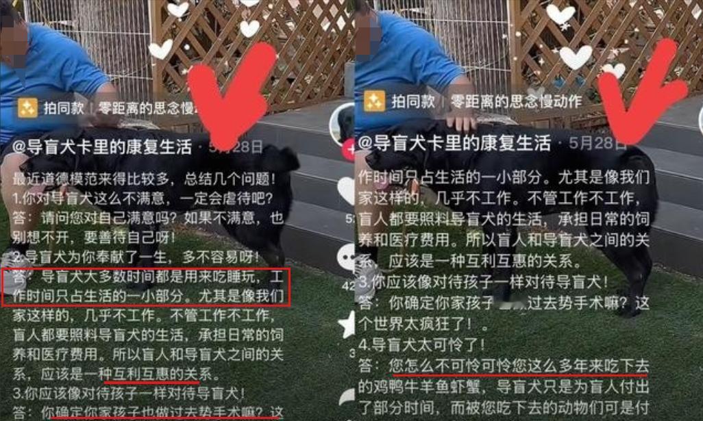 导盲犬卡里的主人发话了，说狗一天就工作几小时，还得她管吃管喝，谈不上奉献，就是互