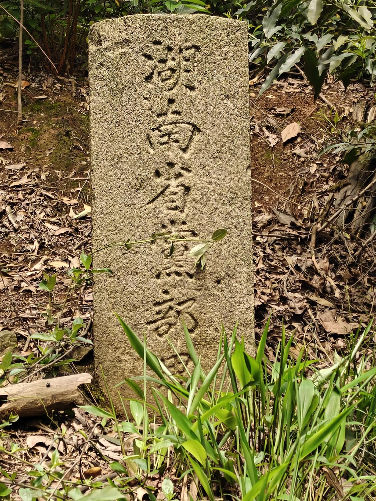 岳麓山深处的民国遗迹：国民党党产的百年浮沉
 
站在长沙岳麓山七十三军纪念园旁，