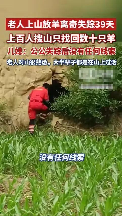 “又是一件令人难过的事”河北承德，75岁的于国明在山里放羊，结果失踪了整整一个月
