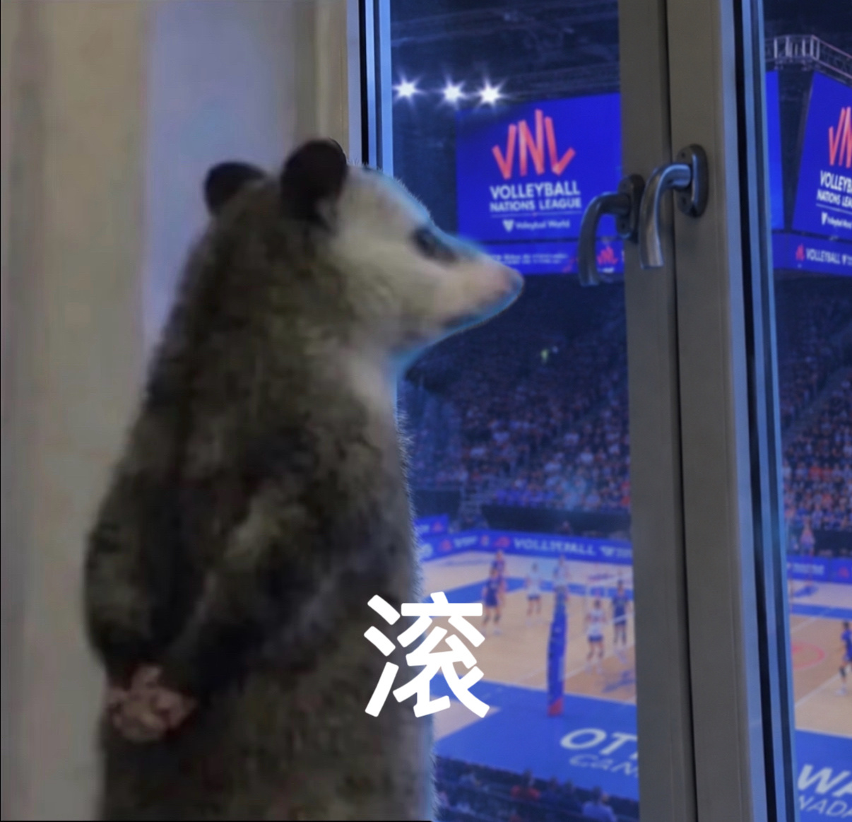 这个竞体对我太坏了 如何调理 