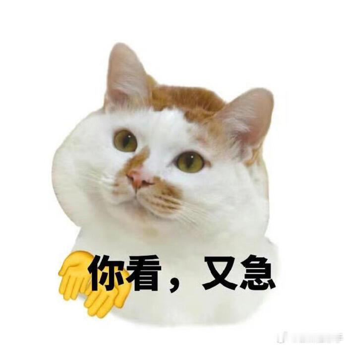 网传虞书欣连开三部无缝进组而已。女顶而已。事业批而已。文化工作者而已。演员而已。