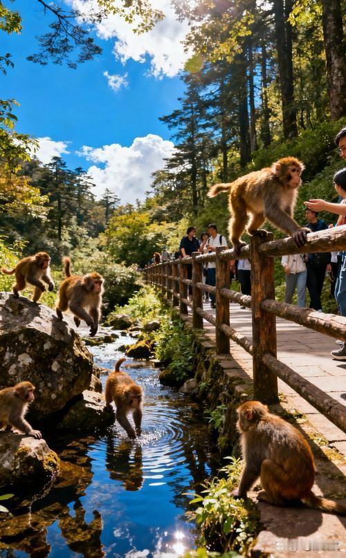 自由自在的生活，风清水净好风景，大师兄一族生活中的自然保护区。