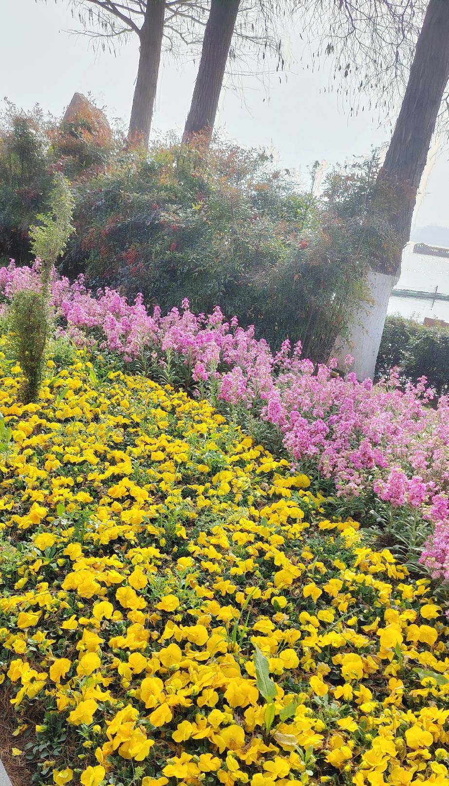 最新集卡领红包活动来啦！每天点一点、做几个小任务就能抽卡，简单好操作，没有套路。