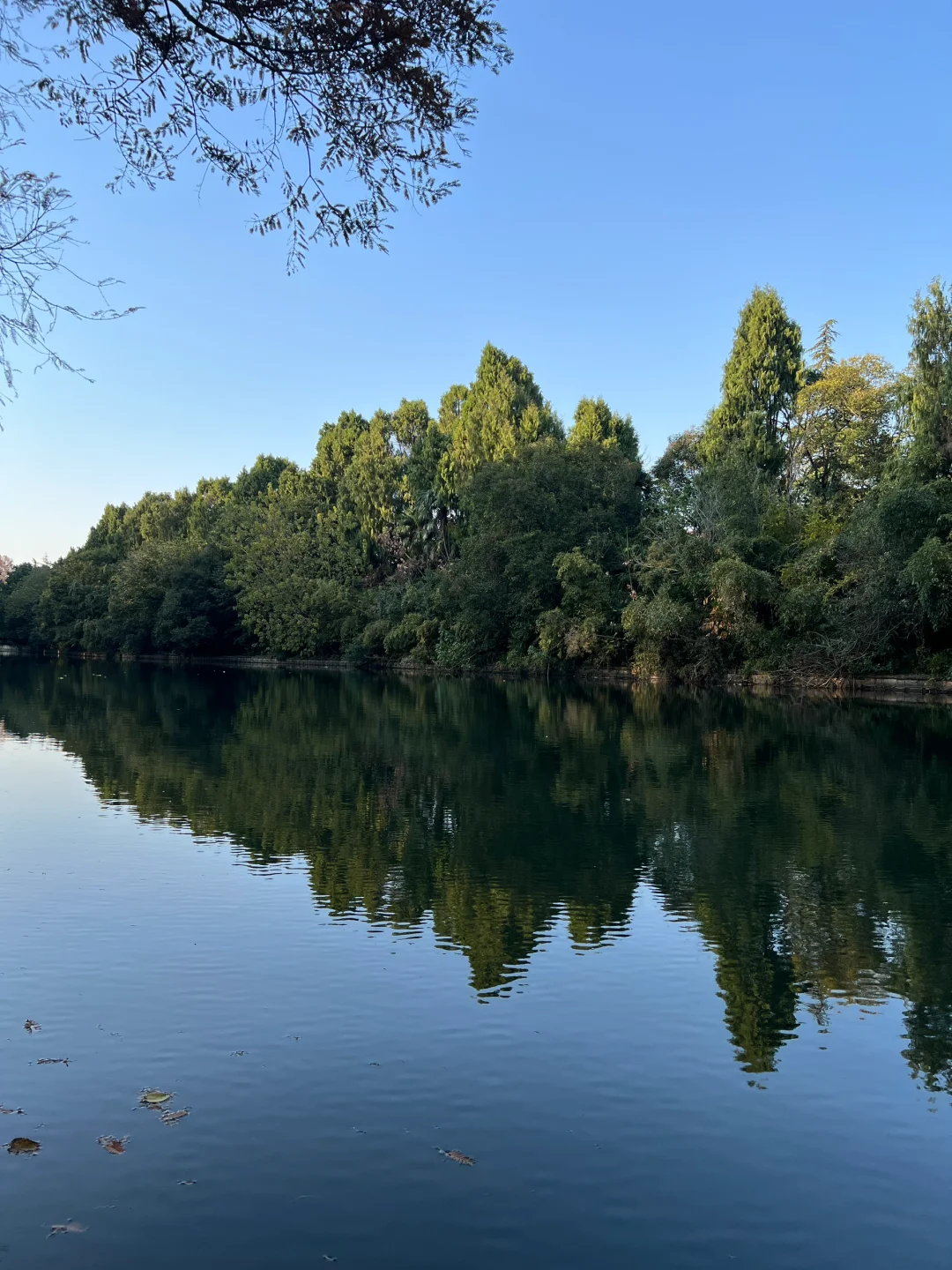 大自然是最会搭配色彩的