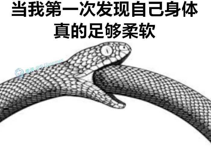 虎毒不食子（9gag）今日meme[超话] 今日memes ​​​