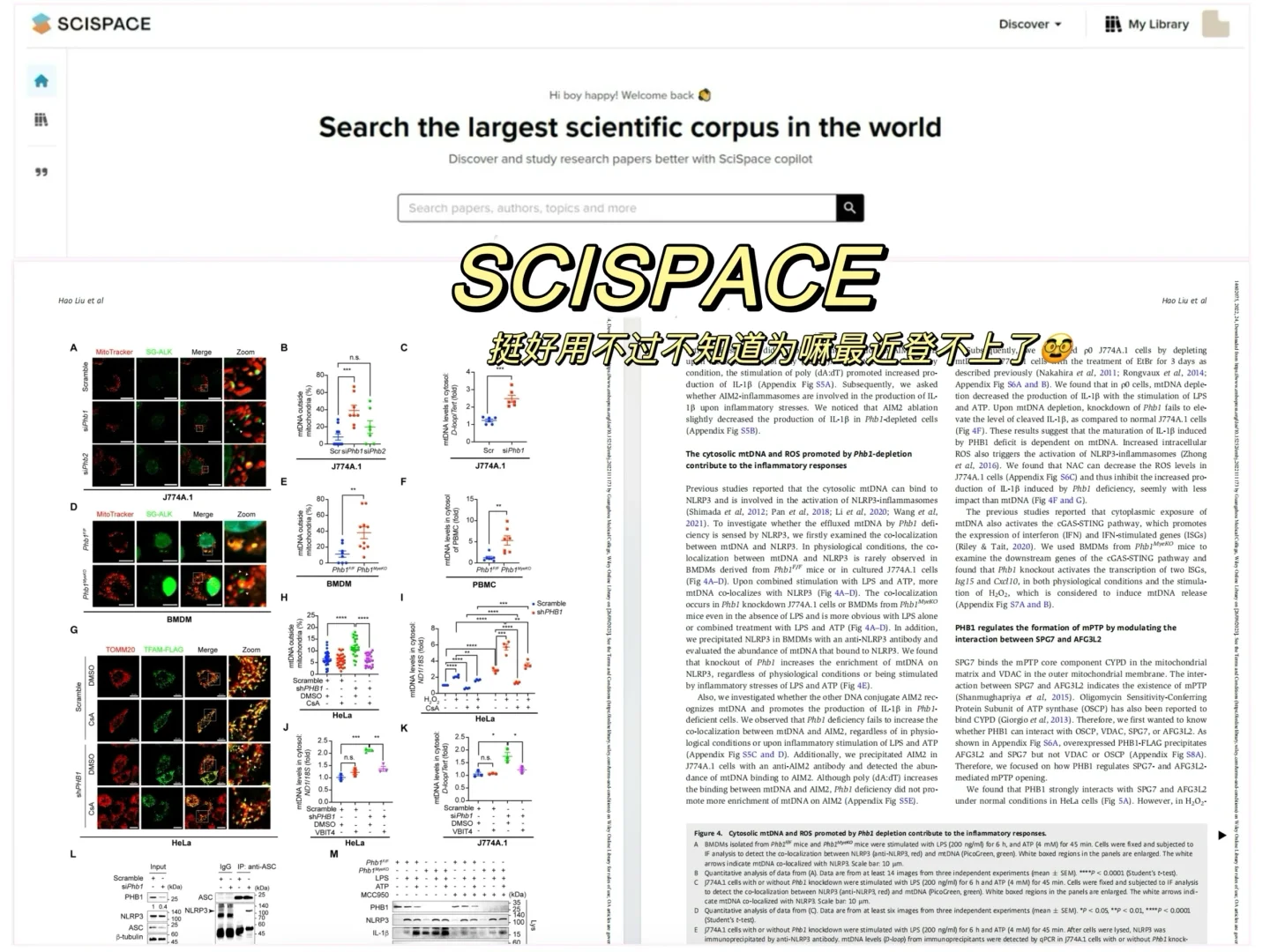 🙏保佑我SCI发表的一些科研工具