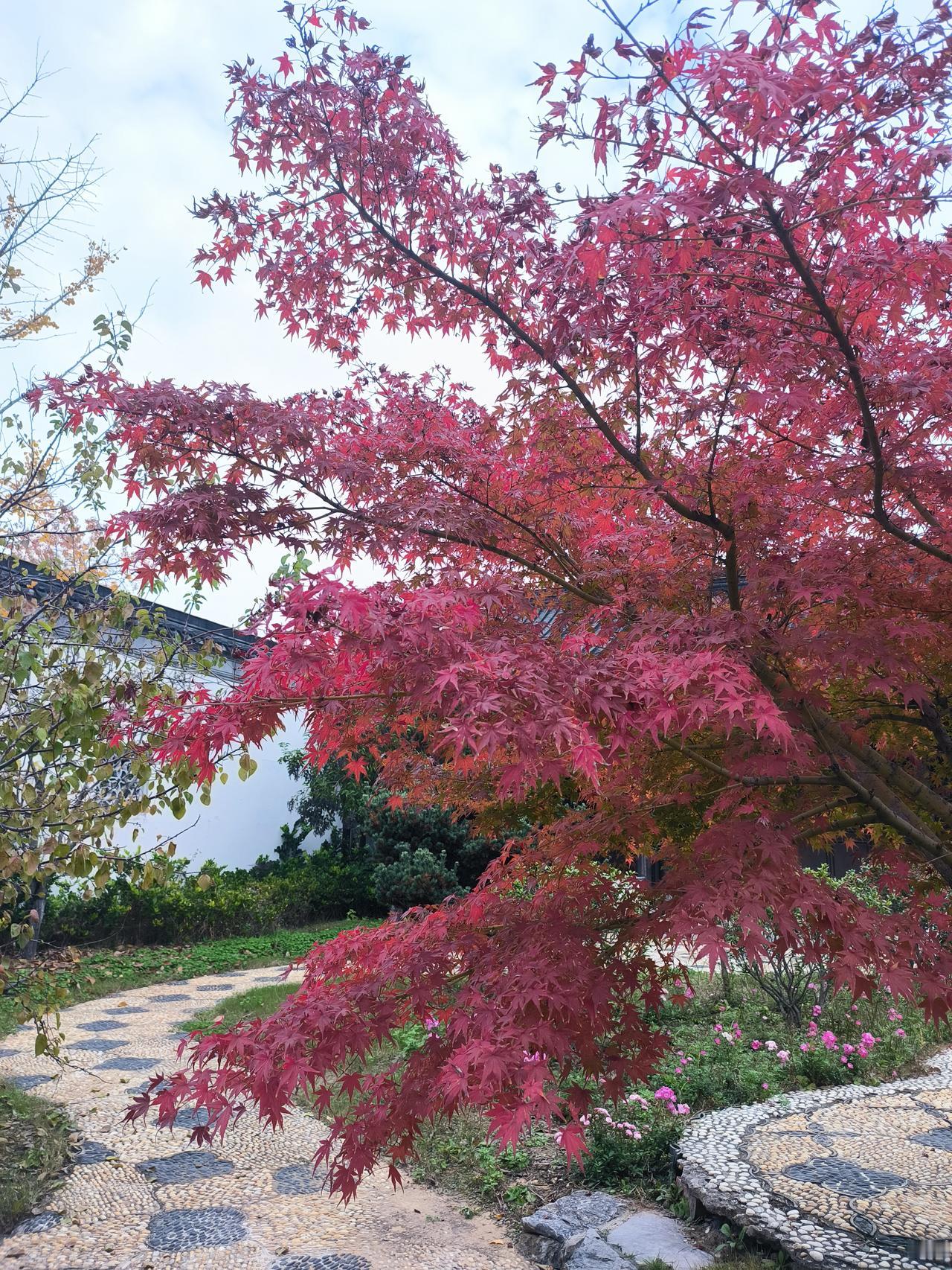 教育如农业，这是叶圣陶的观点。教育必须循序渐进，遵循规律，不能批量生产，更不能拔