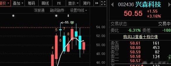 兴森科技002436📈利用波动做做T，降低成本，目前受5日线压制 