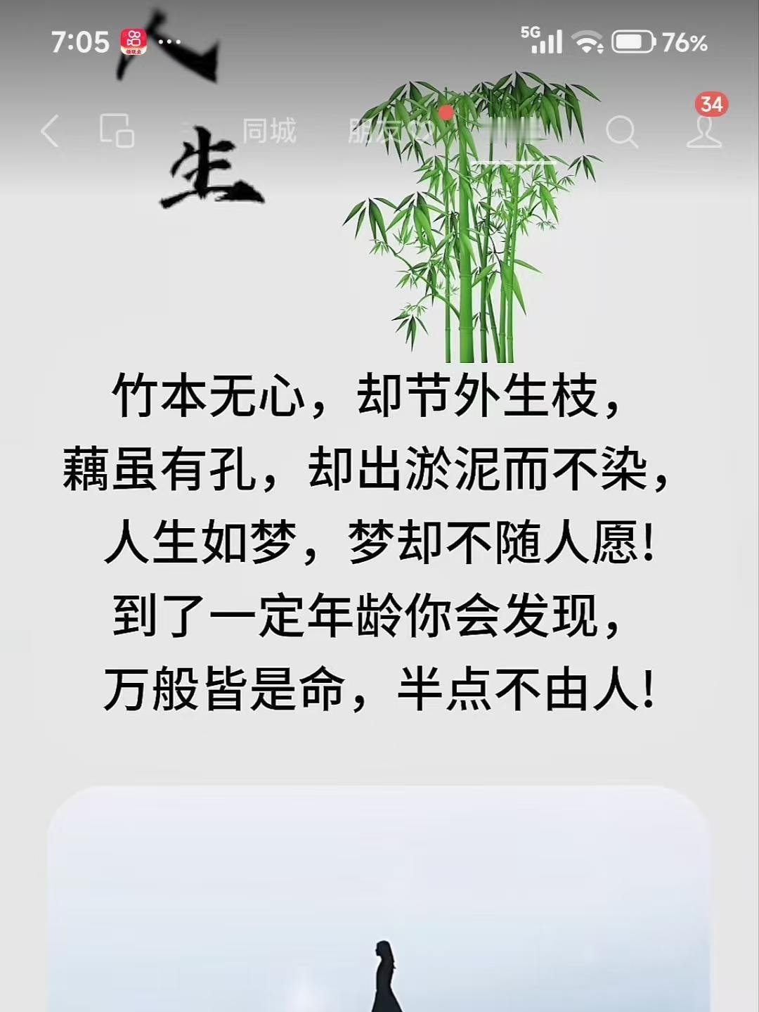 山坡羊·人生感怀
竹无心窍，
节旁枝绕，
藕生孔窍泥尘傲。
梦迢迢，意飘萧。
人