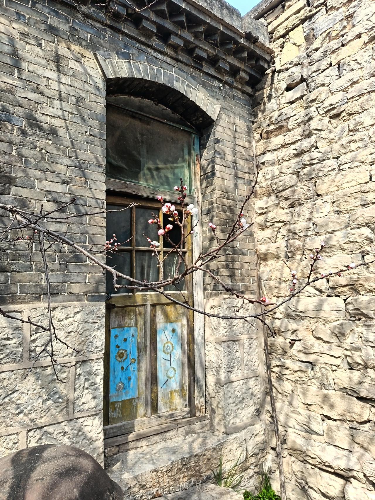 今年春天最想实现的心愿 今年春天，我最想实现的心愿是去山里住一晚。就找山脚下寻常