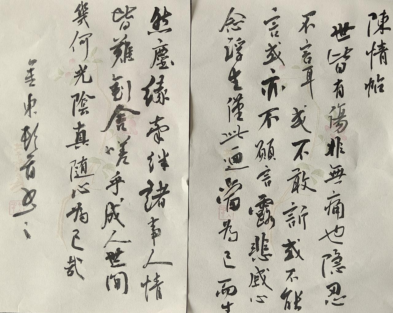 雨斋日记之陈情帖
世皆有伤，非无痛也，隐忍不言耳。或不敢诉或不能言或亦不愿言露悲