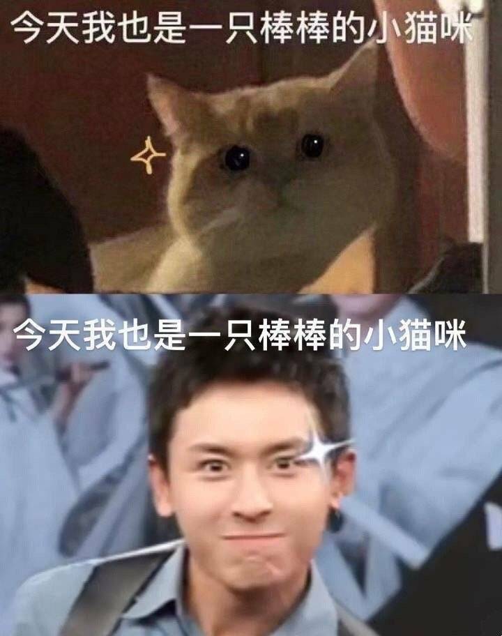 龚俊 cpf 早安猫咪龚俊cpf