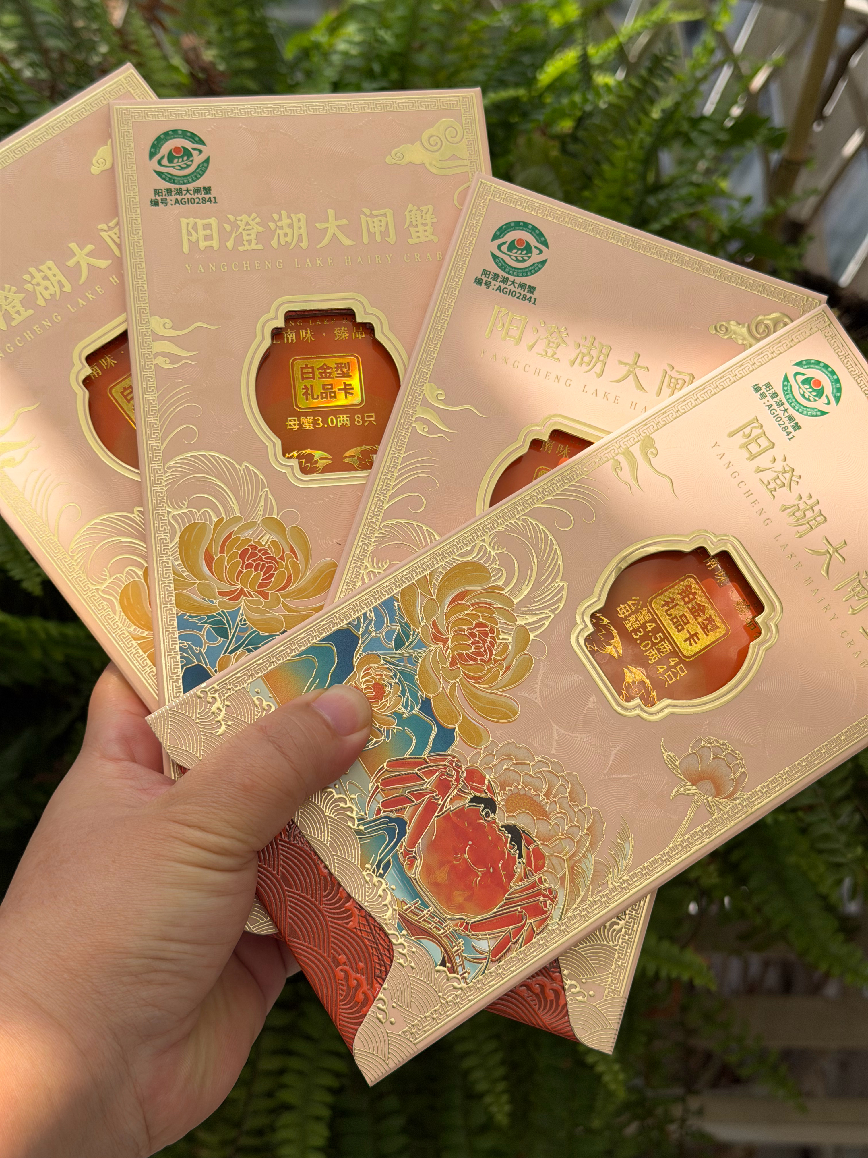 囤了四张蟹卡，等9月再囤几张。开湖后我要品尝每个阶段的美味。 