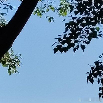 富强、民主、文明、和谐，倡导自由、平等、公正、法治，倡导爱国、敬业、诚信、友善，