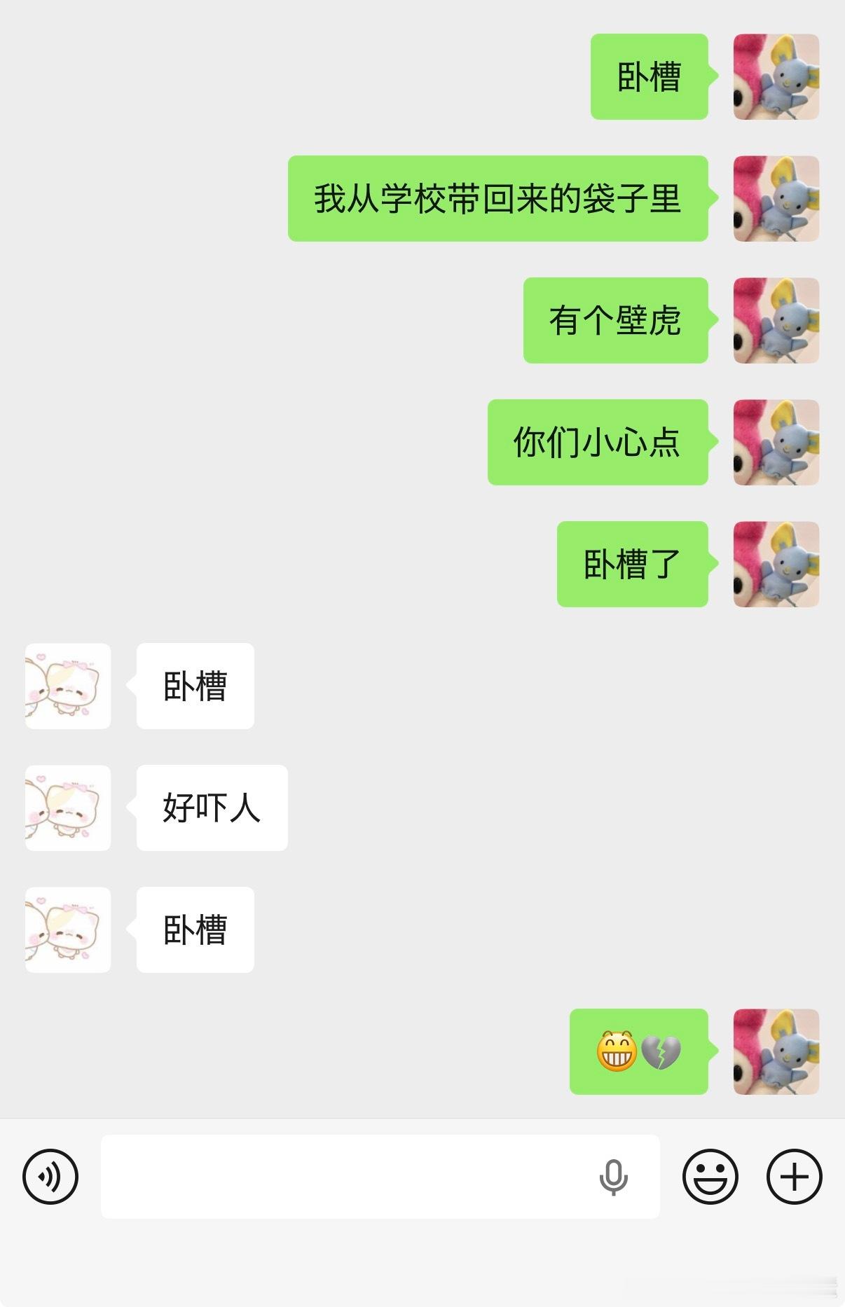 我尼玛这是纪念品吗