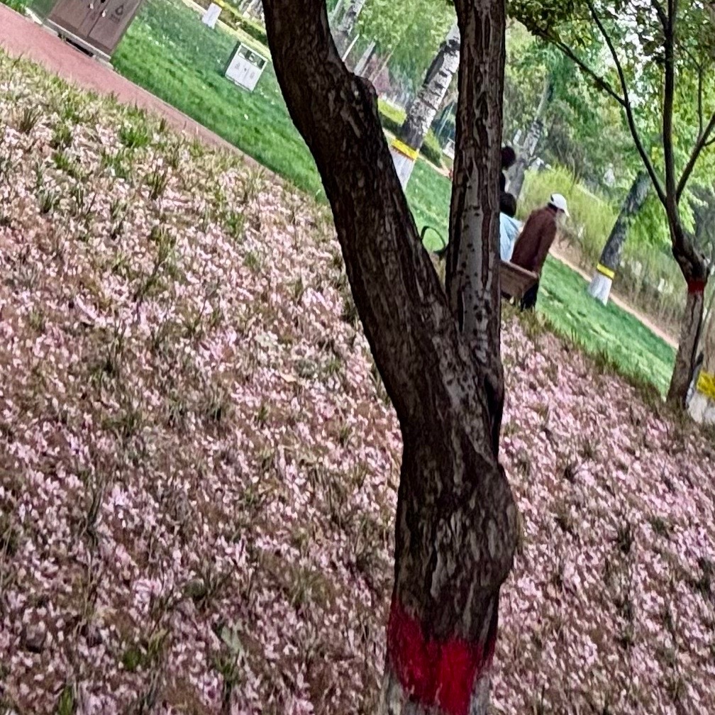 有时候你不得不假装微笑，就如一切未曾发生一样。这不是放弃，而是成熟。 